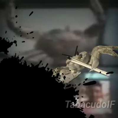 um siri fazendo barra