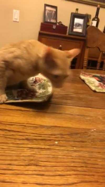 miscatulated that table cloth