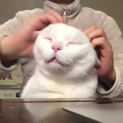 At the peak of bliss