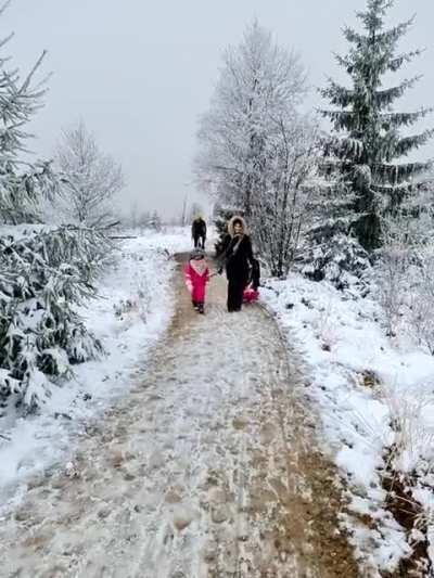 Do bicycles count as vehicles?