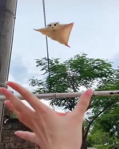 I believe, i can fly