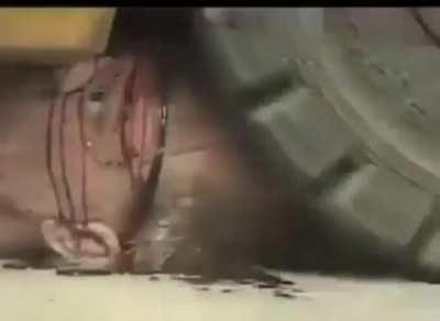 Got removed from r/abruptchaos. They do not like 1980s goreness. NSFW