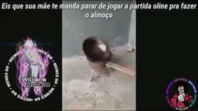 Almoço perfeito e tué