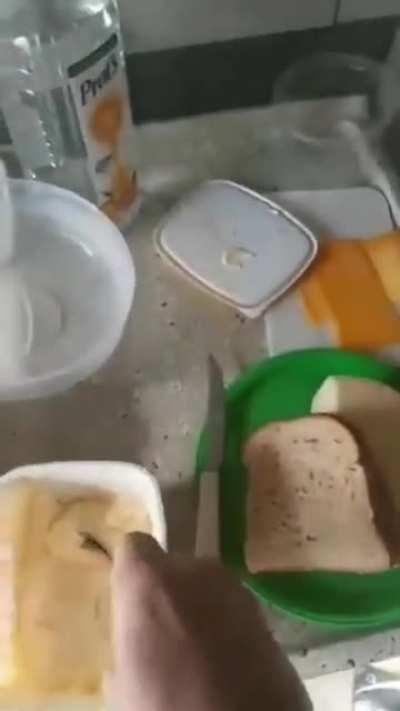 m a n t e g u i n h a