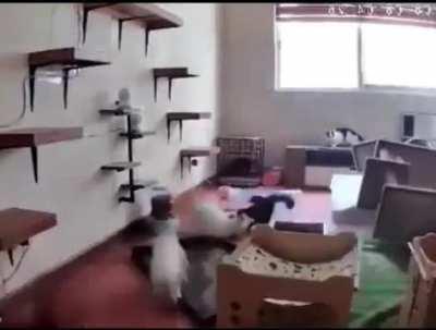 Do you still say there's nothing to chaos theory?