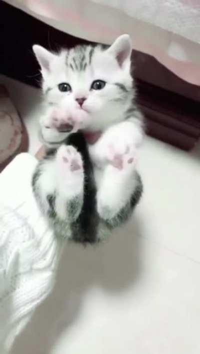 Jelly bean toe taps!