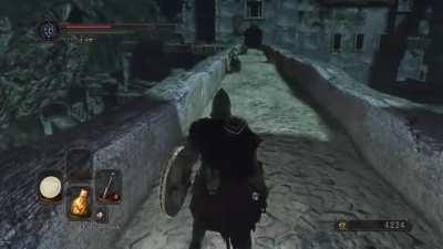 Not the sharpest tool in the shed, this one