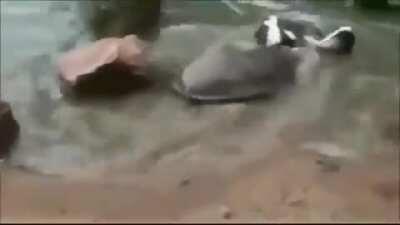 Didn't see that coming