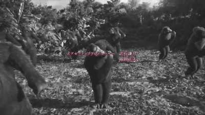 Reject society, become Japanese Monke