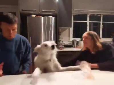 hEy gUyS wHaT wE dRiNkInG