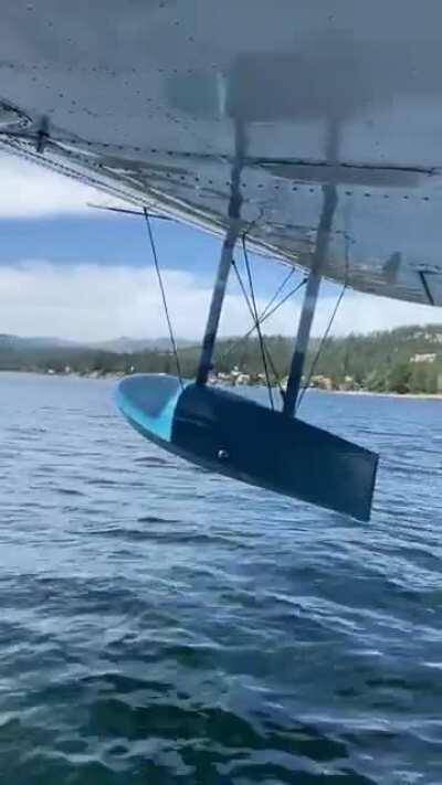 By popular demand, here’s some more Pemberton Goose action! Pt1