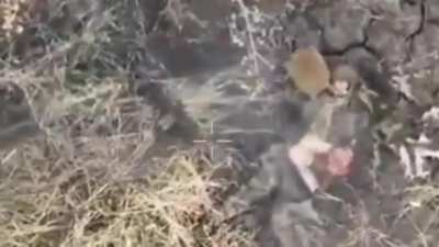 Russian soldier miscalculates dropped grenade