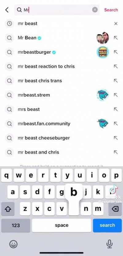 Mr beast