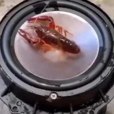 Wordington sound system