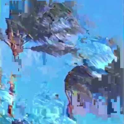 p a l m 🌴 IG:sonsmosa