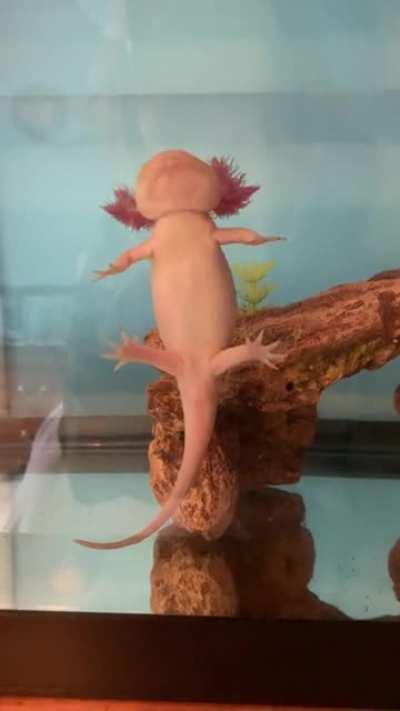 Up, up, aaaaaand down again🤓