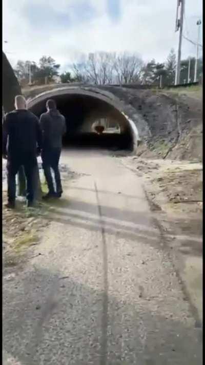 Just a little firecracker