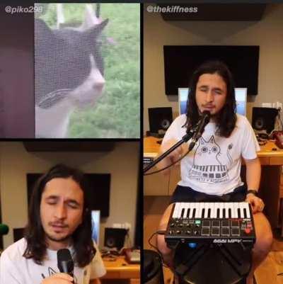 Dude makes a multi-chorus song from a meowing cat. 🐈 🎵