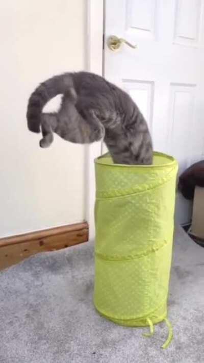 Didn’t touch the sides