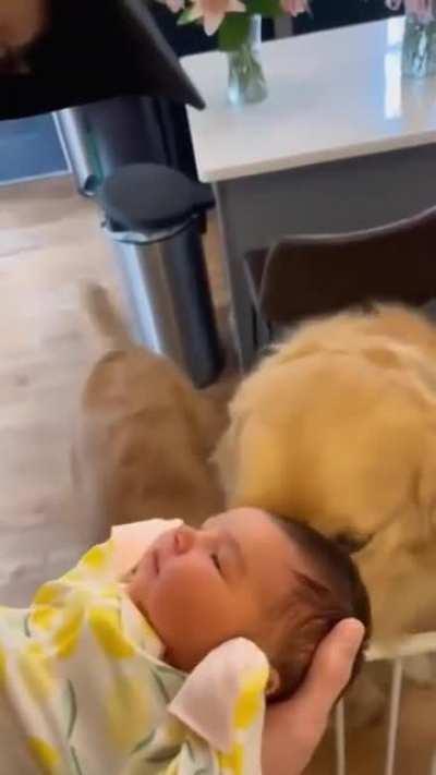 Meeting baby sis for the first time. (OC)