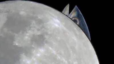 so... Herrscher of the end is just a giant tuna...?