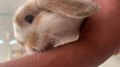 He’s grooming me😂