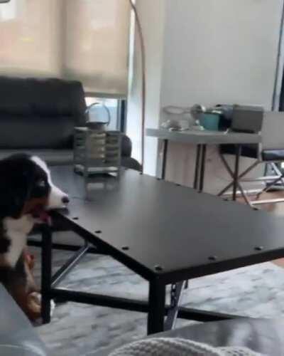 Must really love Julia Roberts