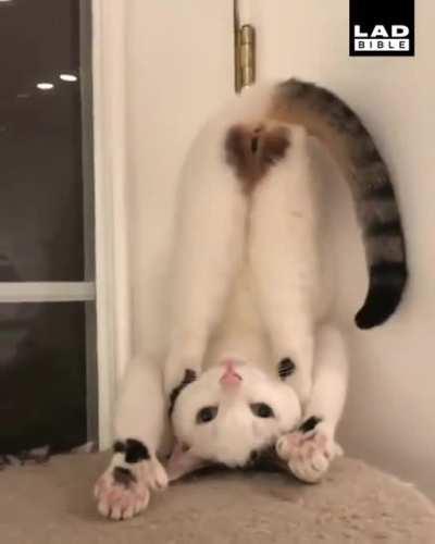 I feel like she's trying to send me a message.