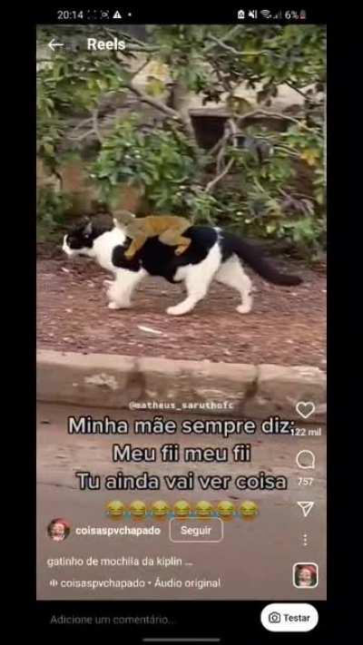 My result after googling 