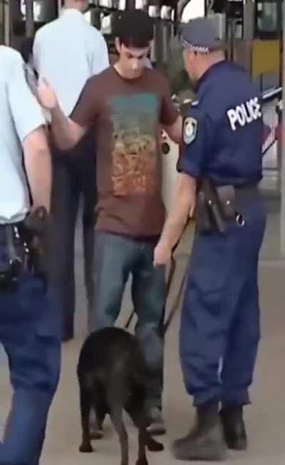 Hold up! What's that?