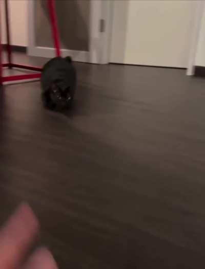 There are two kinds of moods 