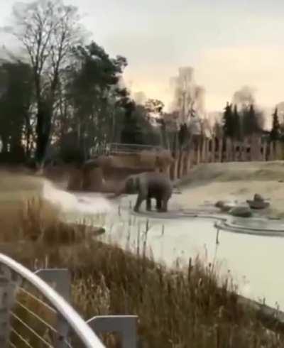 I slipped bro, I promise