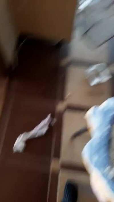 Every morning our dogs cry for us to get up. Today they were quite quiet.