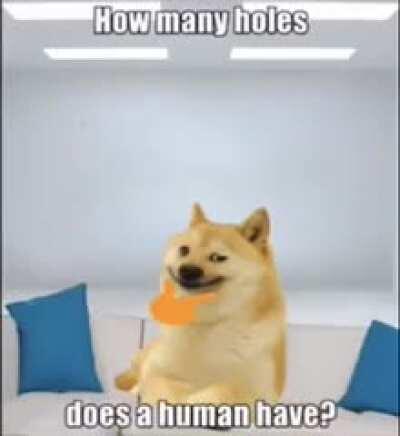 DOGE