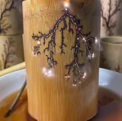 Lichtenberg Figure
