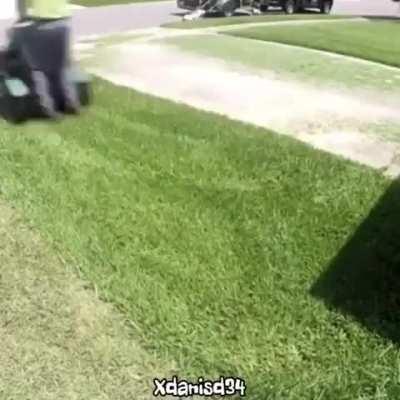 grass