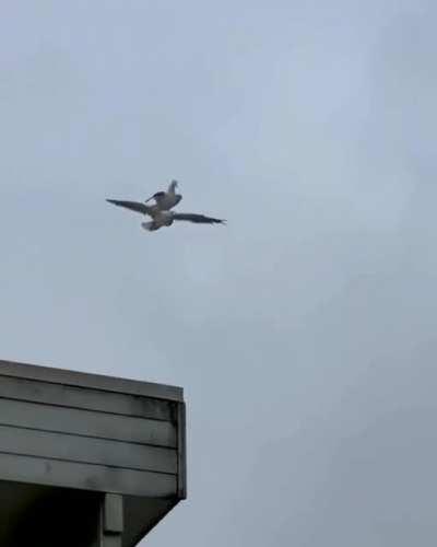 This is one way to fly high in your organization 😜😕😉