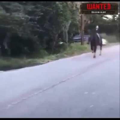 Me after accidentally trucking an NPC in Saint Denis at 80 mph