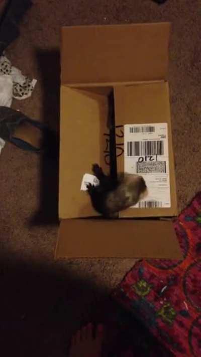 When You Can’t Even