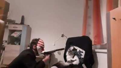 Stealing this silly cat