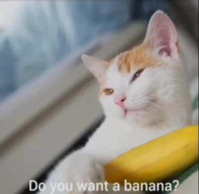 Yes, I want a banana