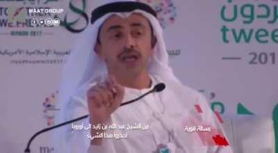 UAE'S Minister of foreign affairs (100% True)