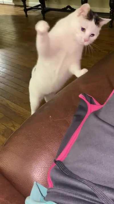 I said I HATE PINK STRIPES!