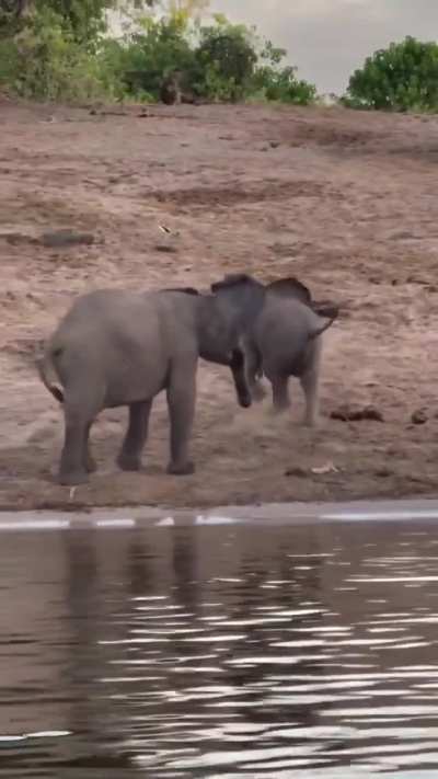 Big sister as a bodyguard 😂