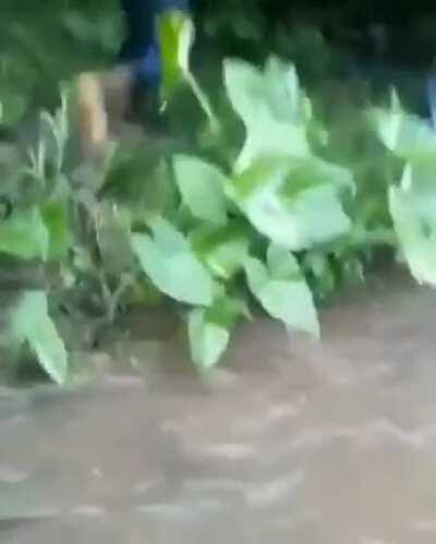 Sinaloa Cartel patrol