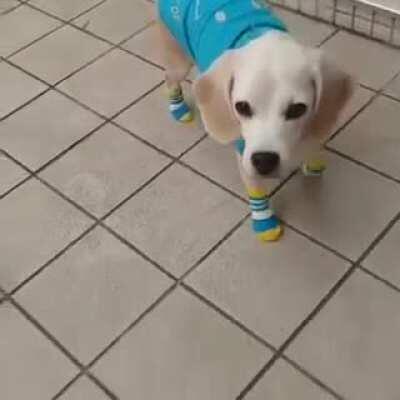 She's gonna be a great goalie and I will teach her everything I can to get her better