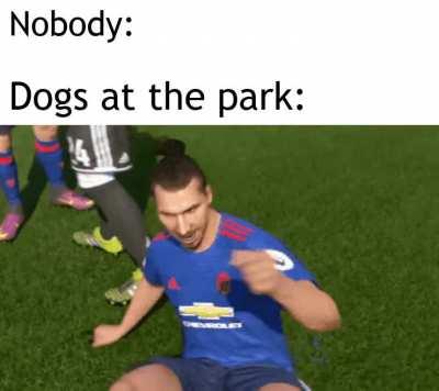 Sniff for unlimited energy