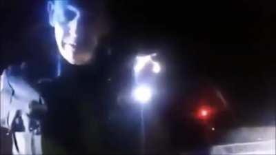 Another sovereign citizen gets a good tazing