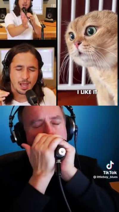 Oh Long Johnson w/ littleboy_blues