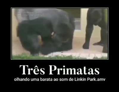 Luangameplay666 - Video #6149